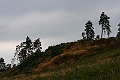 Resize of IMG_8195